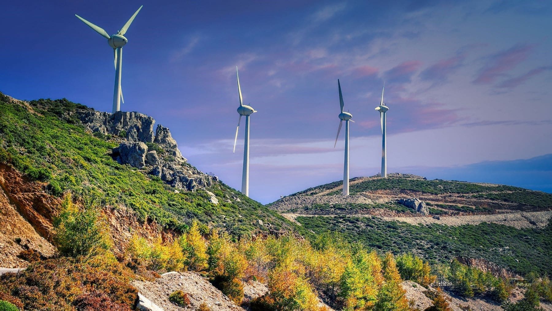 impacto de aerogeneradores en aves cerca de espacios protegidos