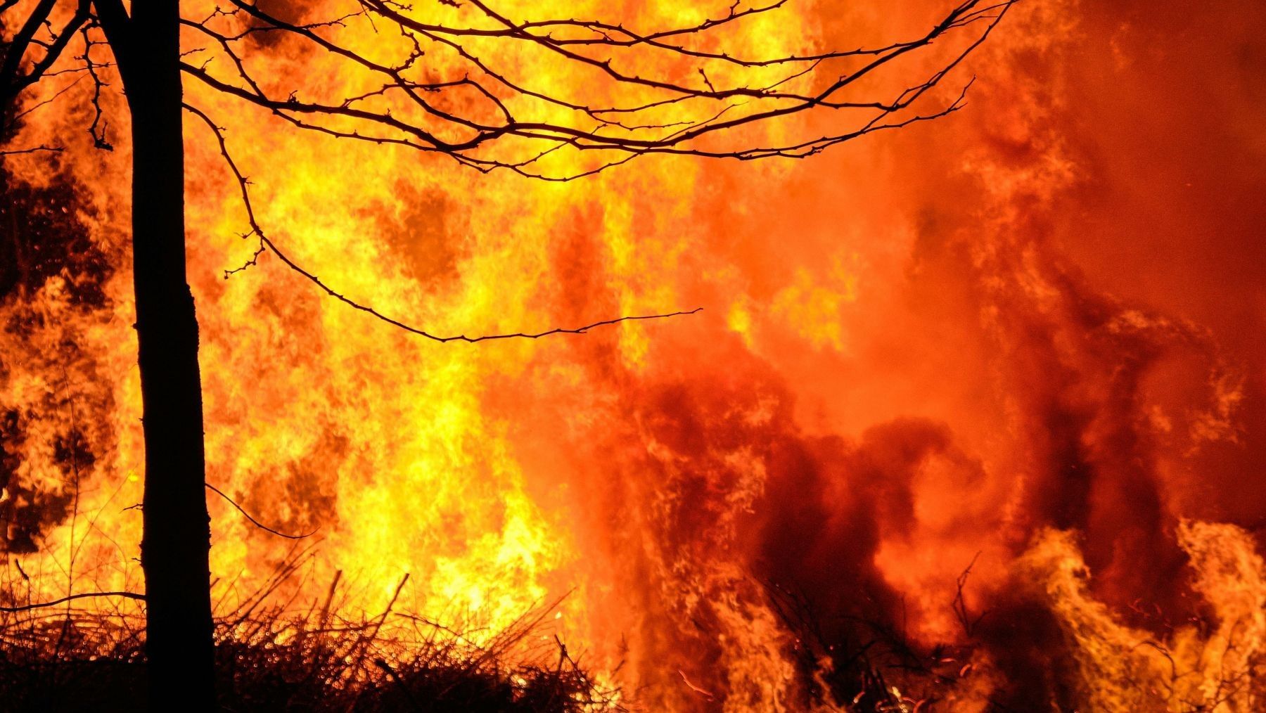 Incendios en la Patagonia argentina devastan bosques, viviendas y zonas protegidas