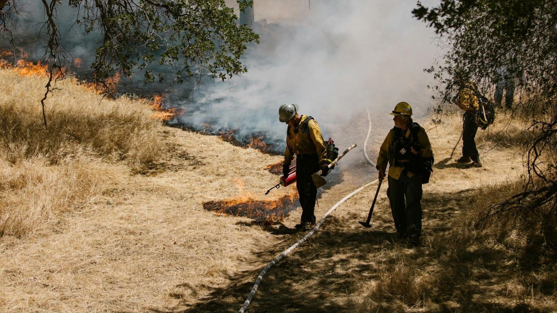 incendios forestales en Galicia en zonas rurales y forestales