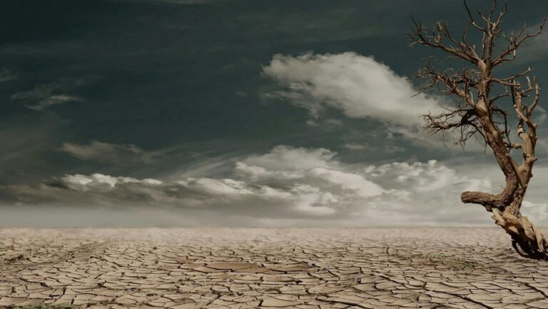 informe PNUMA GEO-7 crisis ambiental global