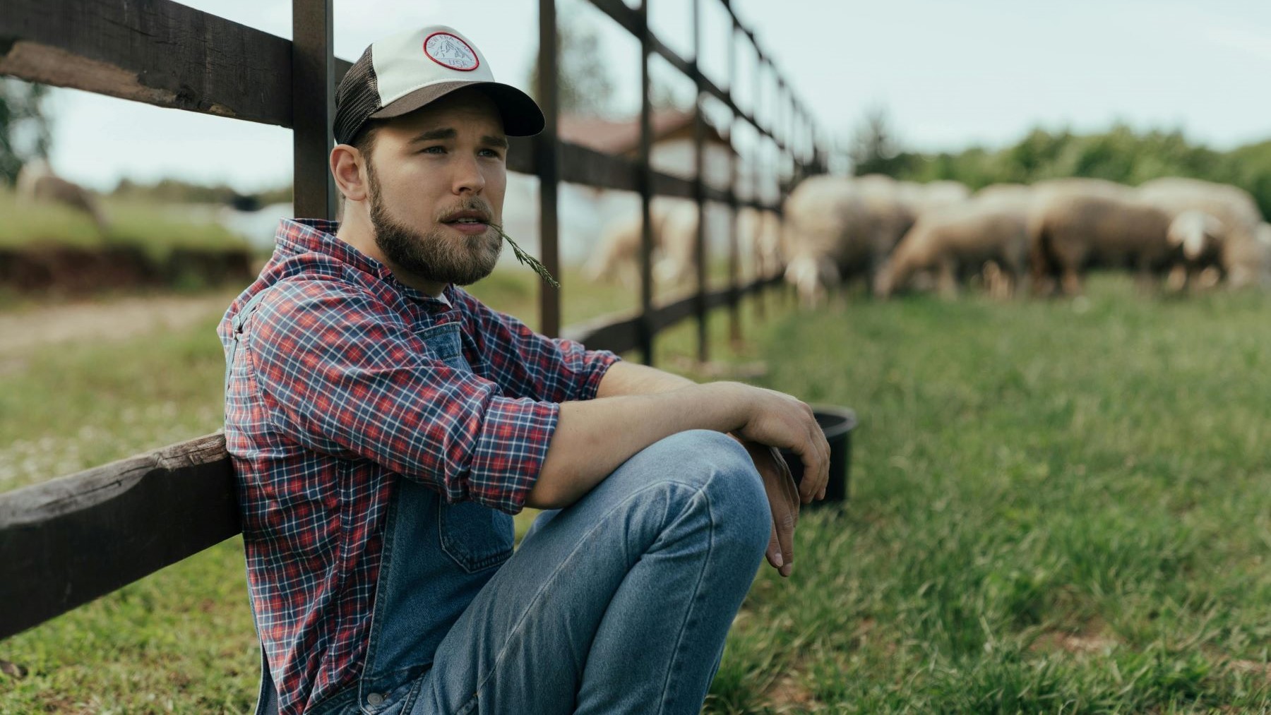 relevo generacional agrario y cesión de tierras