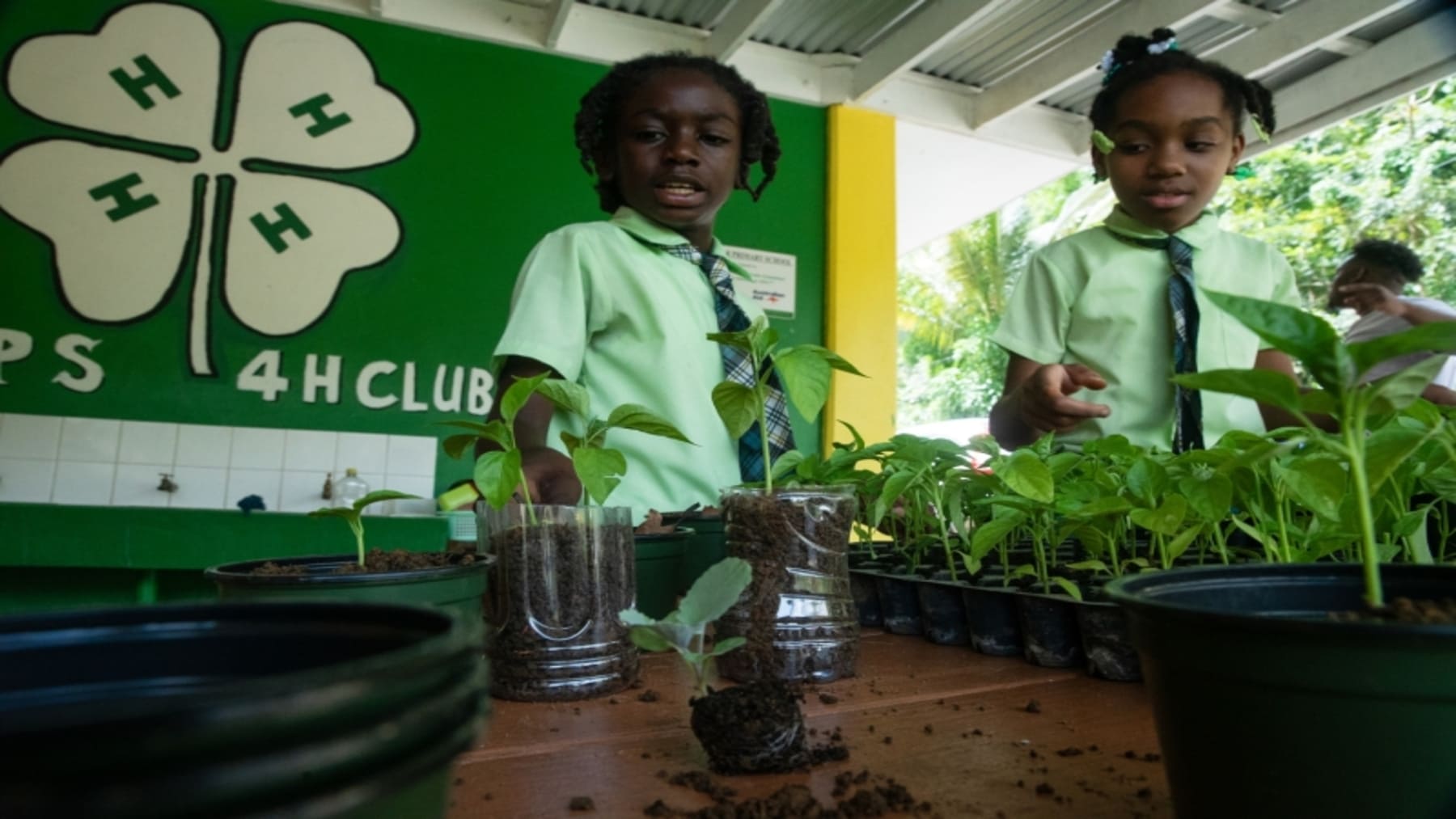 Estudiantes participan en proyectos educativos para proteger el medio ambiente.