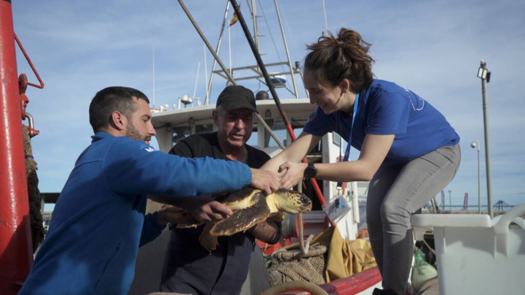 Conservación marina de la Fundación Oceanogràfic con suelta de animales recuperados al medio natural