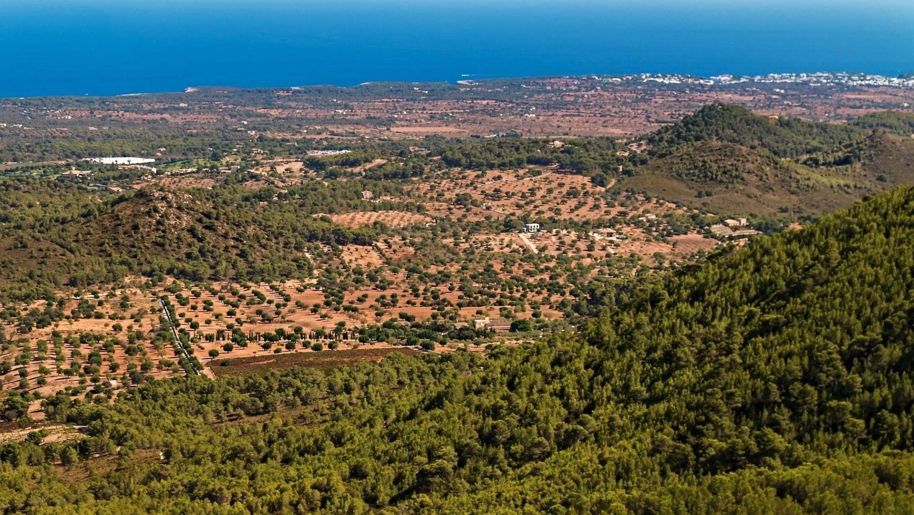 Mapa Forestal de las Islas Baleares con tecnología 3D para proteger los bosques