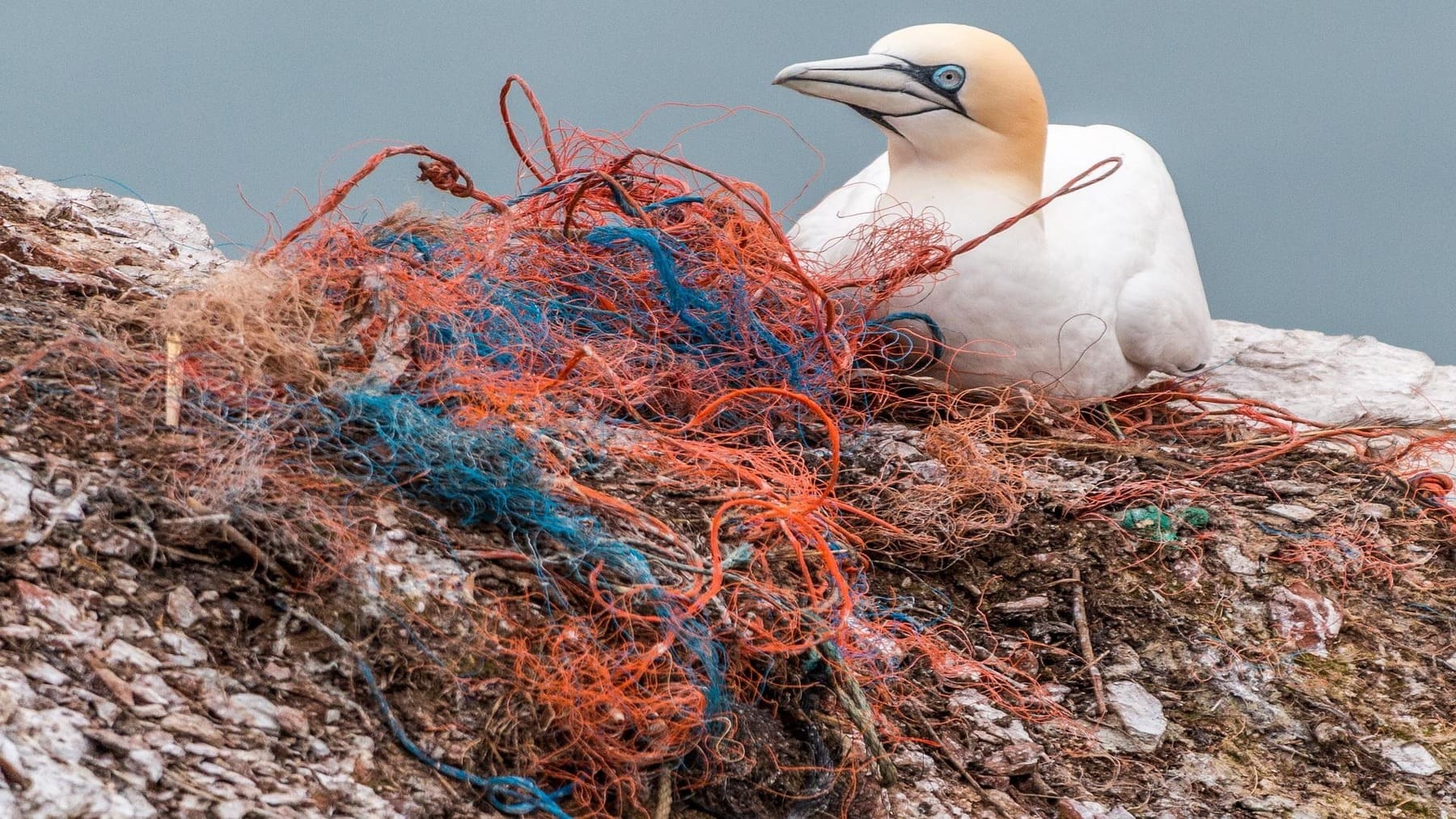 Microplásticos terrestres flotando en la atmósfera sobre superficie continental