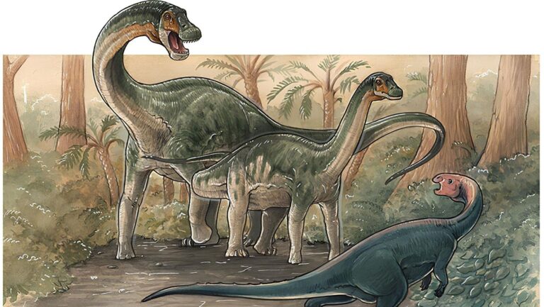 nuevo dinosaurio titanosaurio fósil hallado en Neuquén