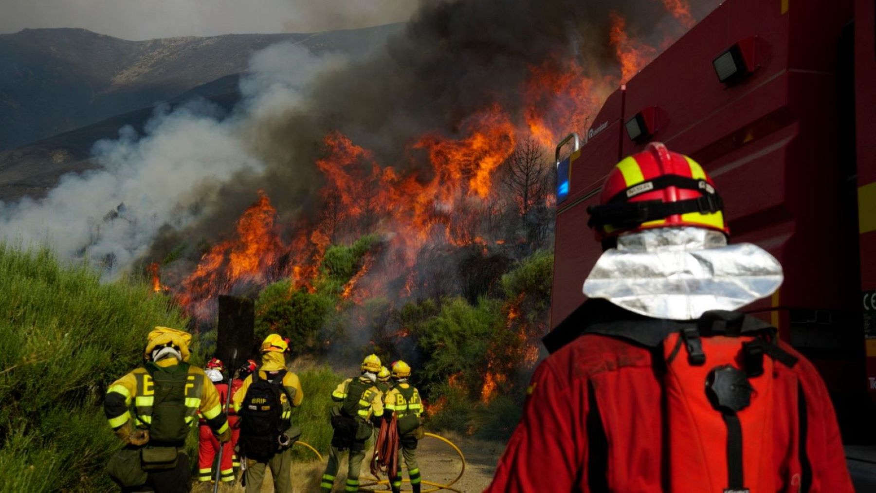 Bomberos y medios aéreos actuando en incendios forestales