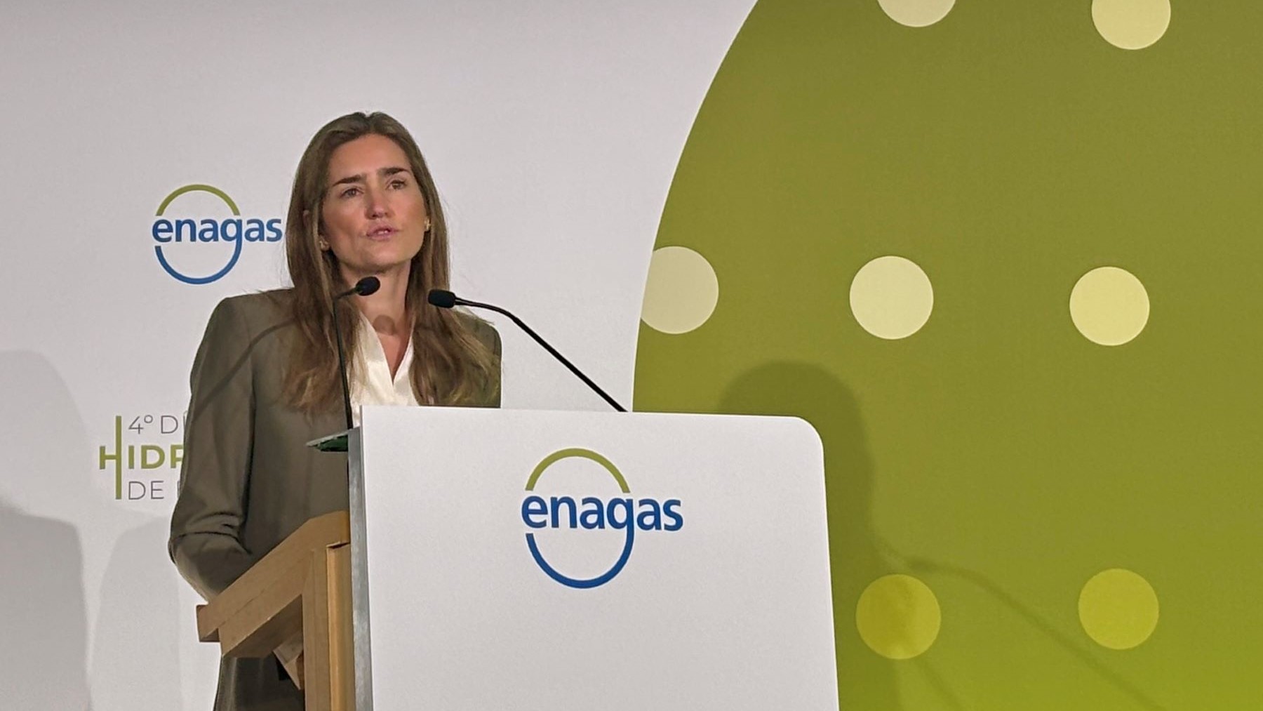 Sistema nacional del hidrógeno presentado por el Gobierno en un foro energético