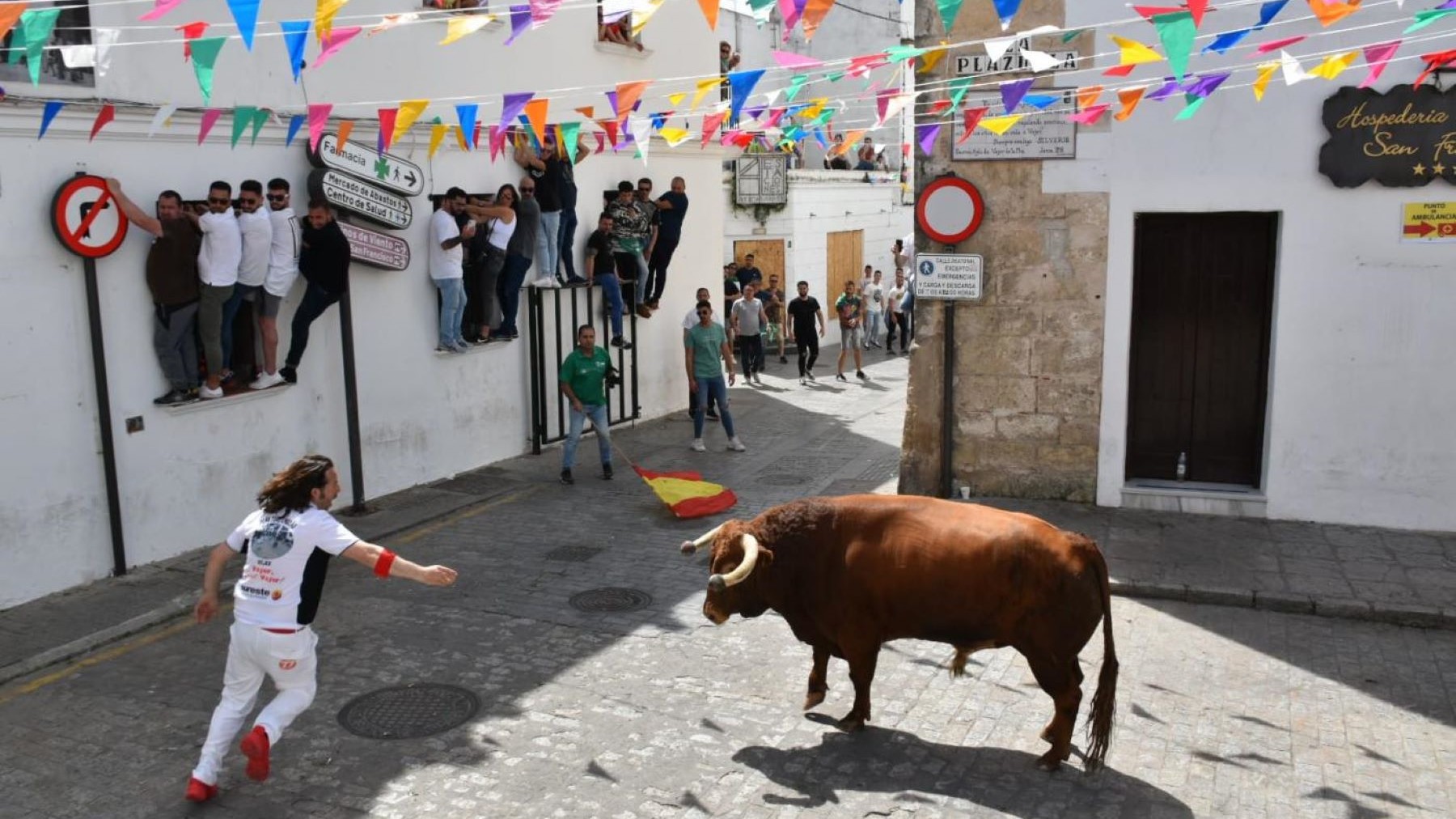 Rechazo a los toros embolaos en Vejer por maltrato animal