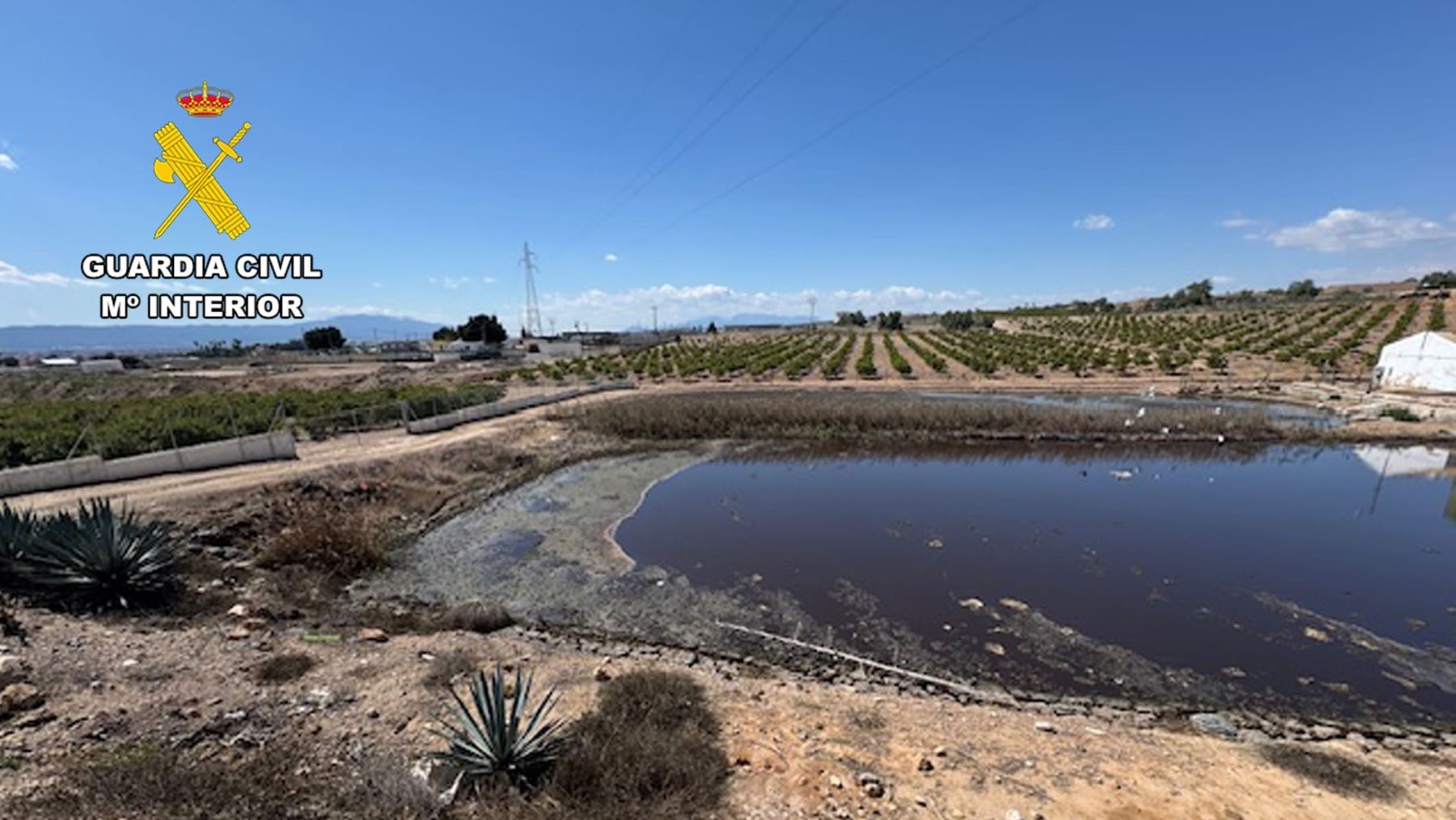 Vertidos ilegales de purines cerca de arroyos