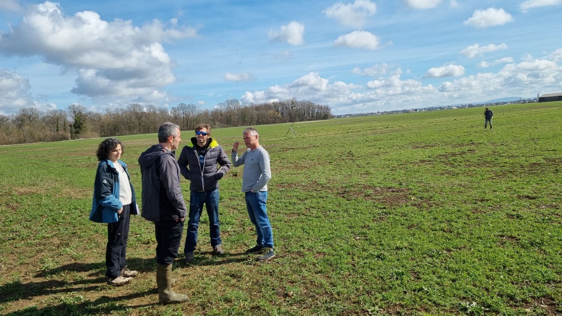 Rata topera detectada mediante análisis satelital de cultivos