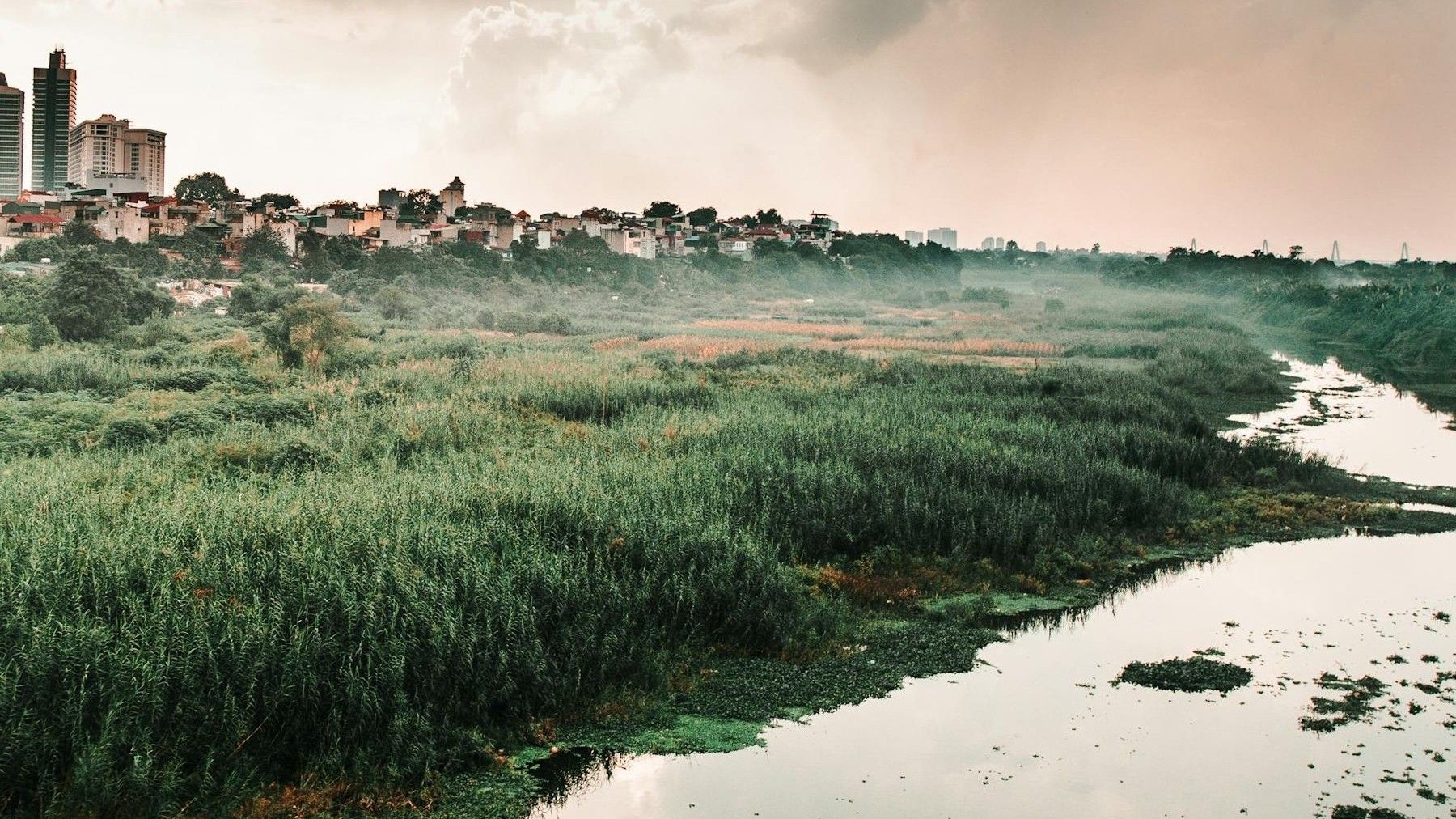 Restaurar los humedales en España devuelve aves y protege frente al cambio climático