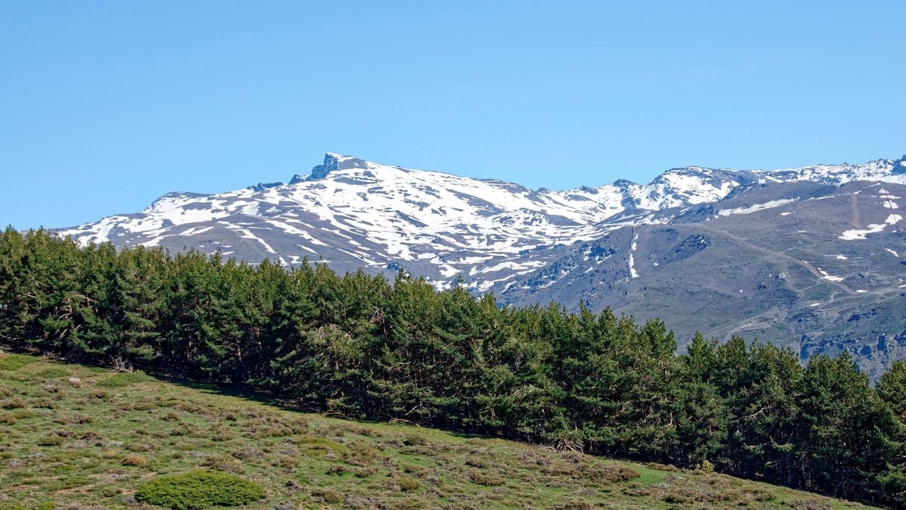 Revisión de los planes de Sierra Nevada en parque natural