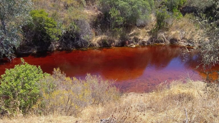 El proyecto RECUP-DAS busca restaurar los ríos Odiel y Tinto tras décadas de impacto minero.