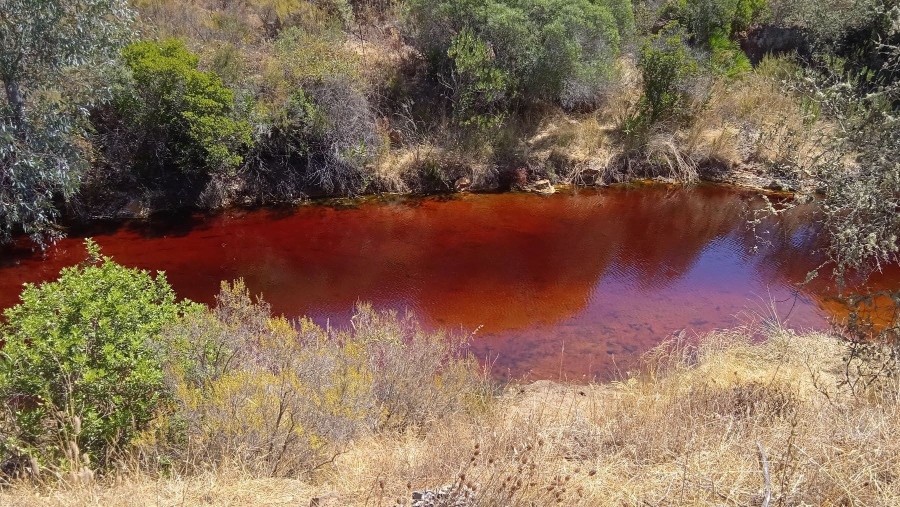 El proyecto RECUP-DAS busca restaurar los ríos Odiel y Tinto tras décadas de impacto minero.