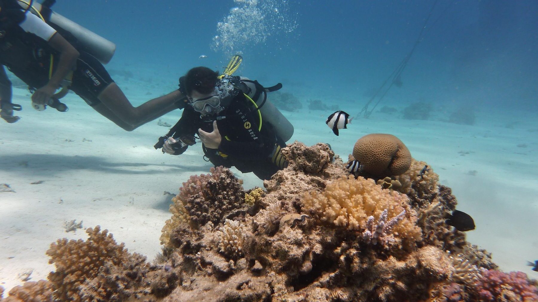 Ciencia ciudadana marina y recopilación de datos en el océano