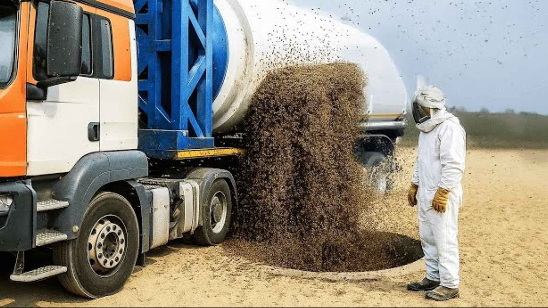Enorme bloque de panal suspendido por grúas en un paisaje desértico, rodeado de un enjambre y operarios.