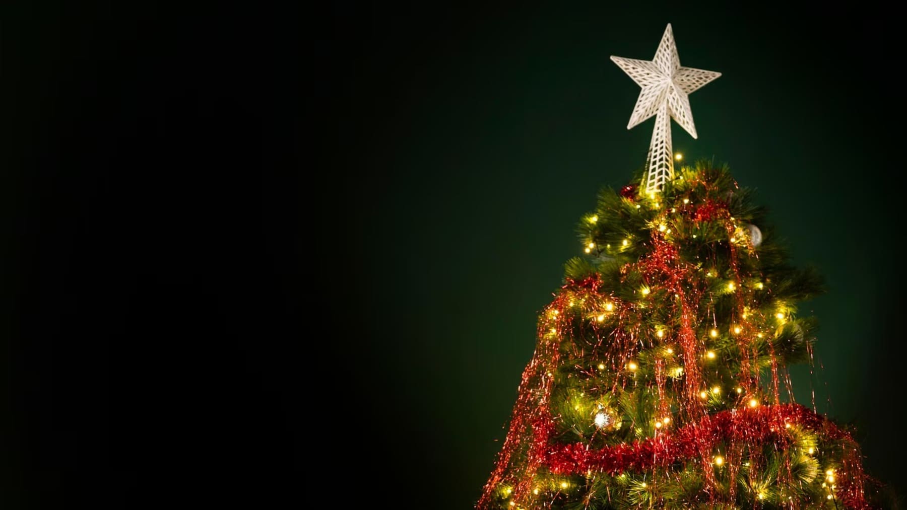 replantar abetos de Navidad en Madrid en espacios naturales