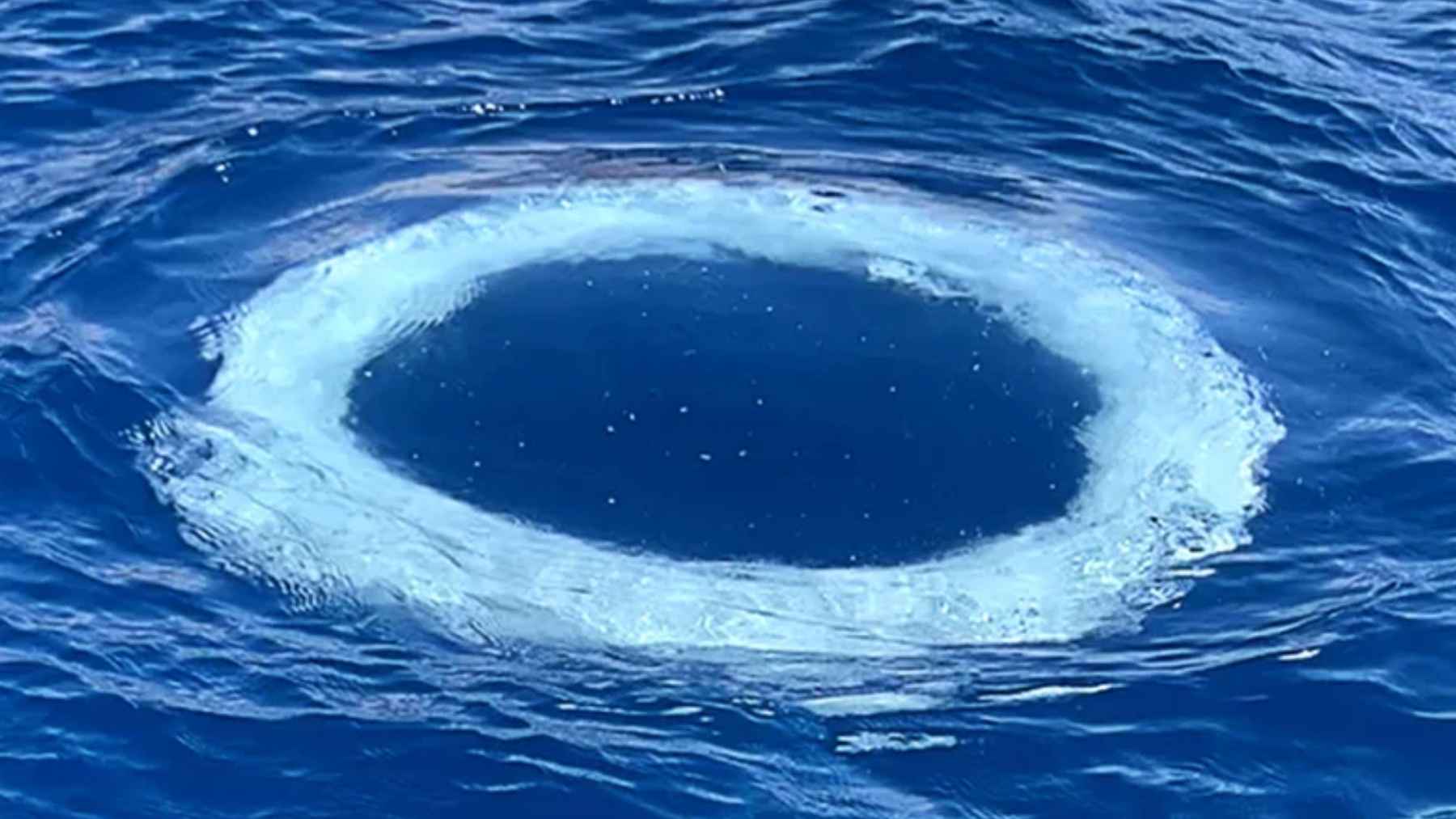 Anillo de burbujas en la superficie del mar creado por una ballena jorobada