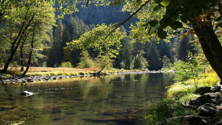 Congreso Restauración Fluvial 2026 en el entorno del río Duero