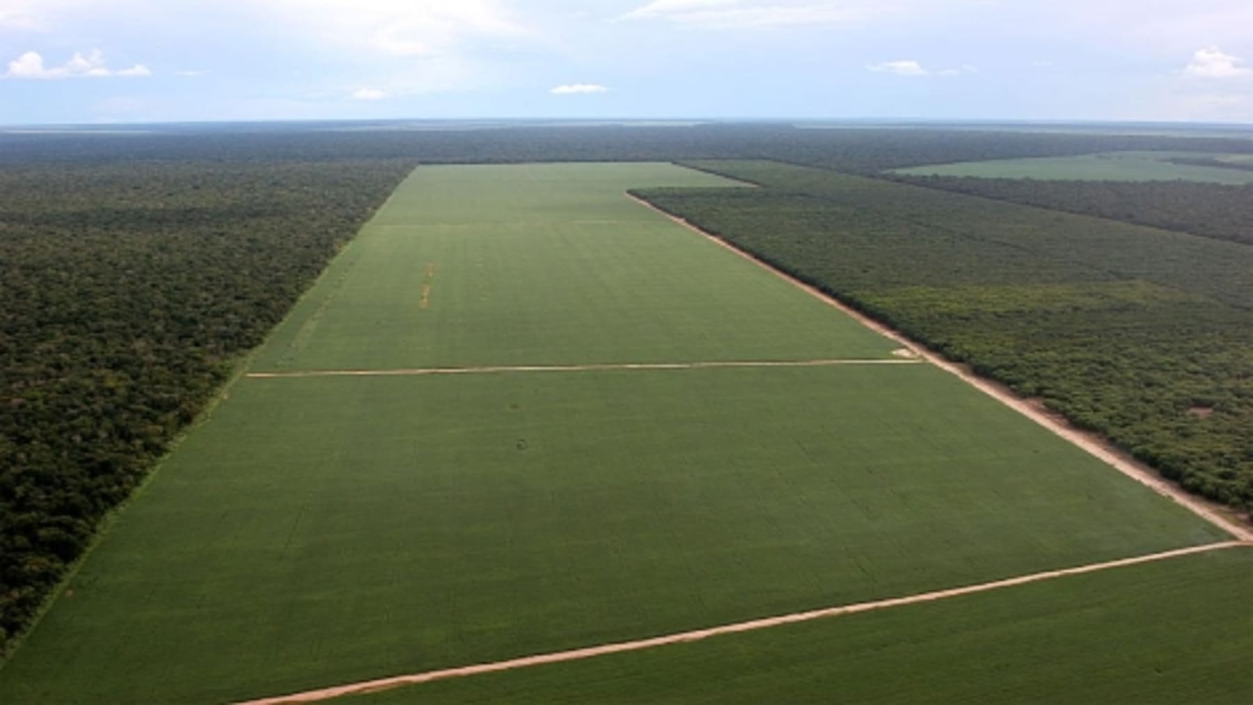 Moratoria de la soja y la deforestación en Brasil en la Amazonía