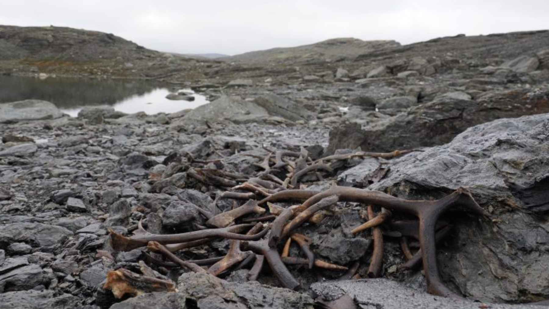 Montones de astas de reno sobre rocas en una meseta de Aurland, Noruega, hallazgo arqueológico tras el deshielo