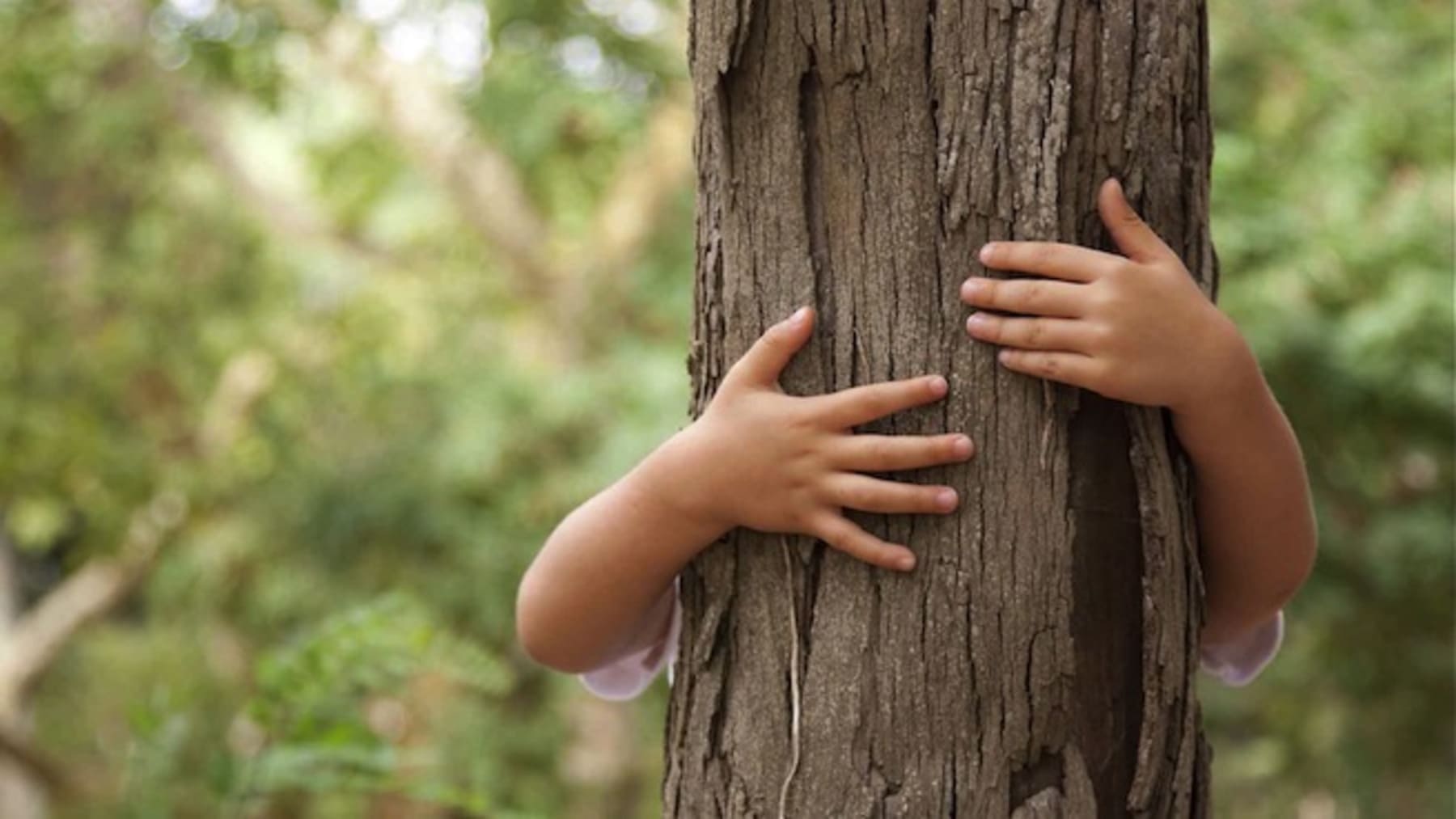 Educación ambiental en Zaragoza sufre recortes