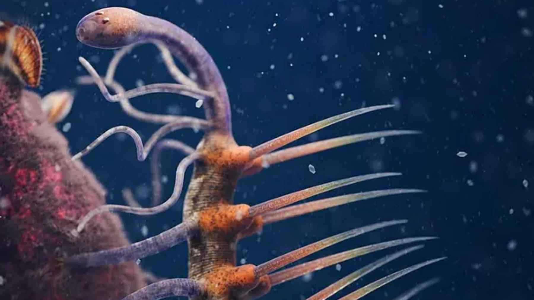 Reconstrucción digital del fósil Hallucigenia sparsa, con espinas dorsales y patas tubulares en un entorno marino.