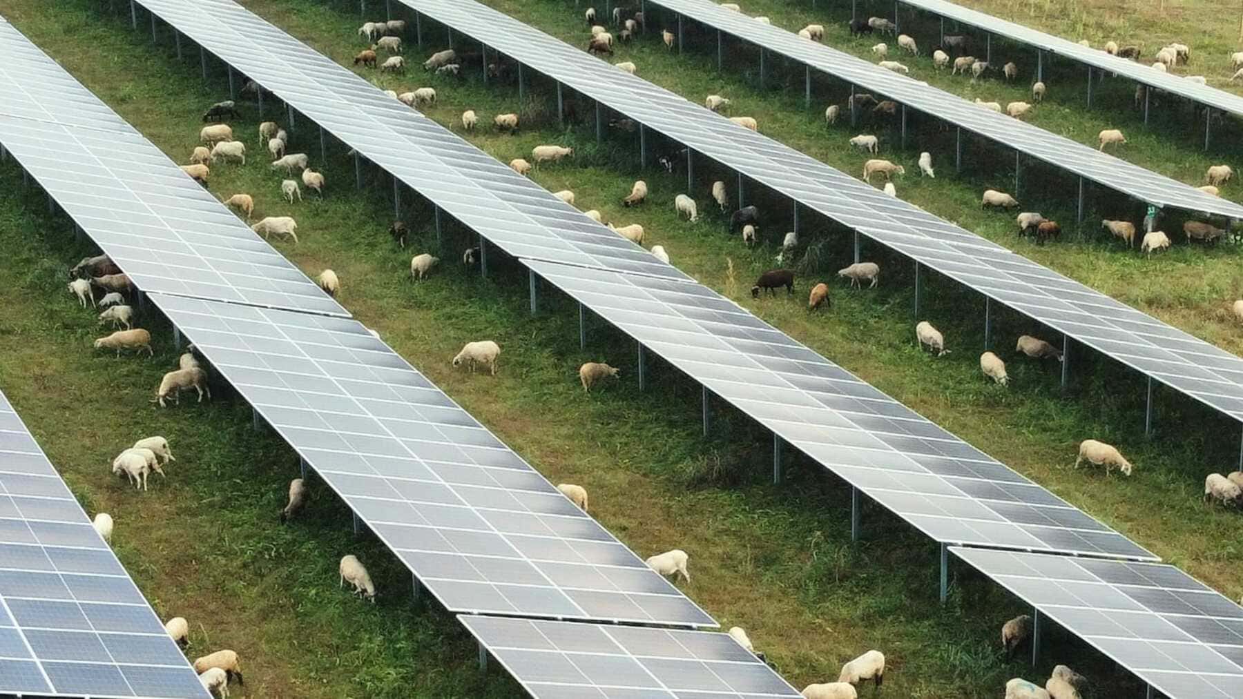 Energía solar fotovoltaica con amplio respaldo social