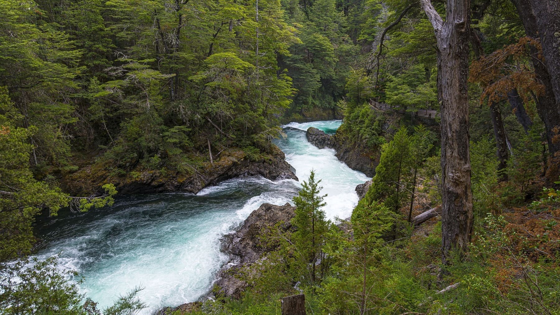 Autonomía estratégica de la UE y medioambiente