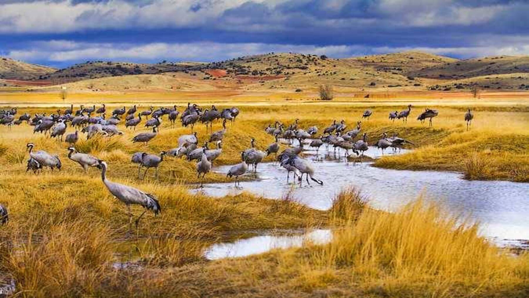 laguna de Gallocanta con actuaciones de mejora ambiental
