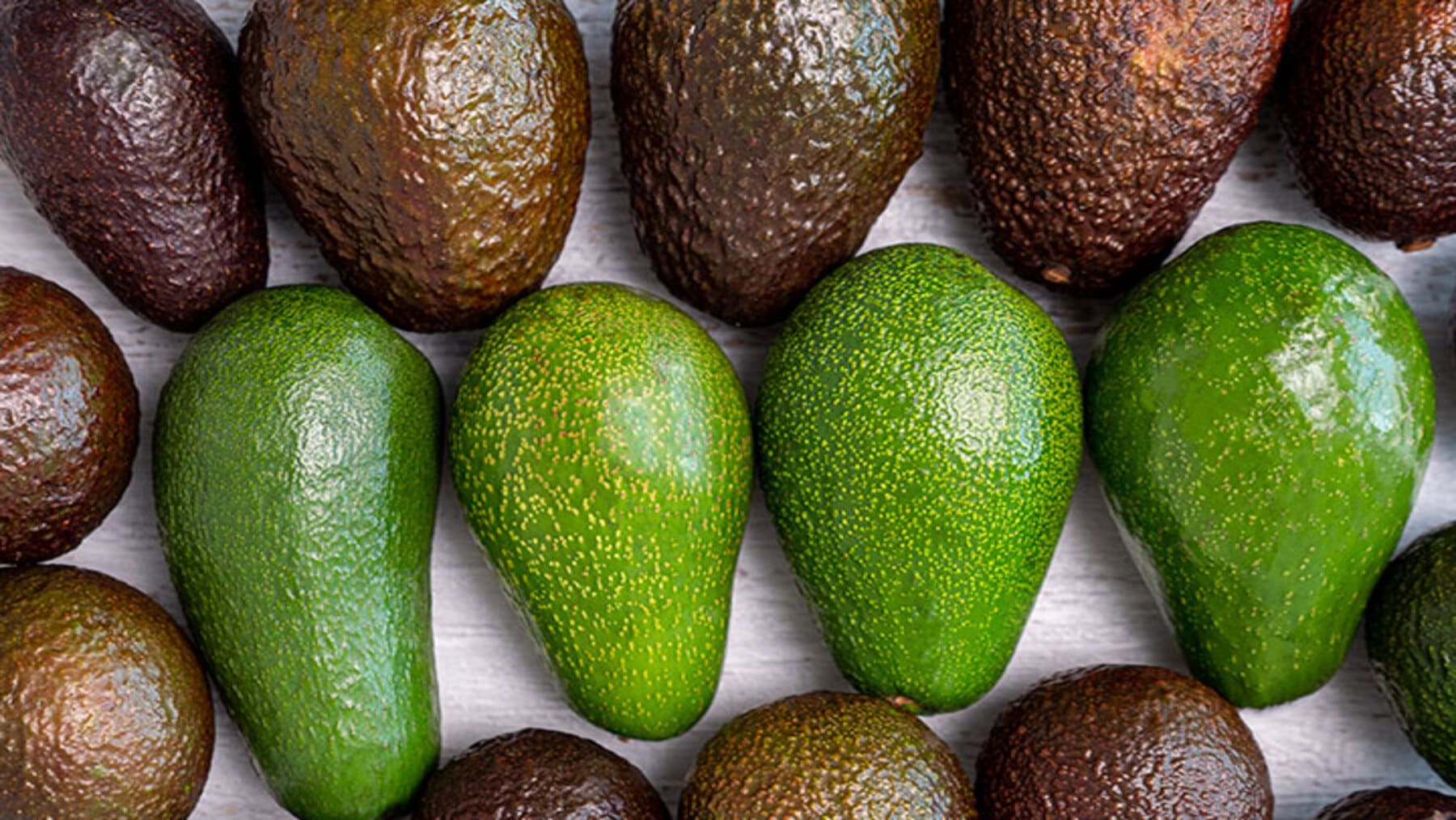 Método genético para identificar aguacate antillano resistente a salinidad