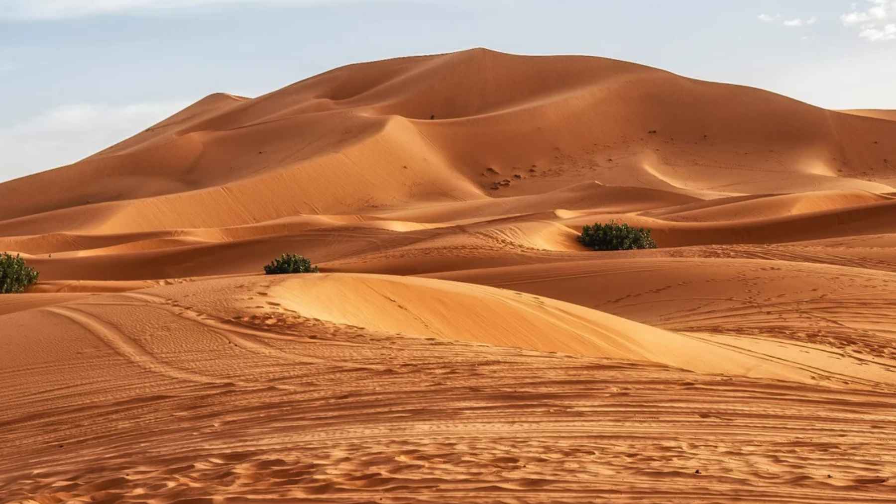 Dunas de arena en un paisaje árido, imagen ilustrativa sobre el Rift de África Oriental y la posible formación de un nuevo océano