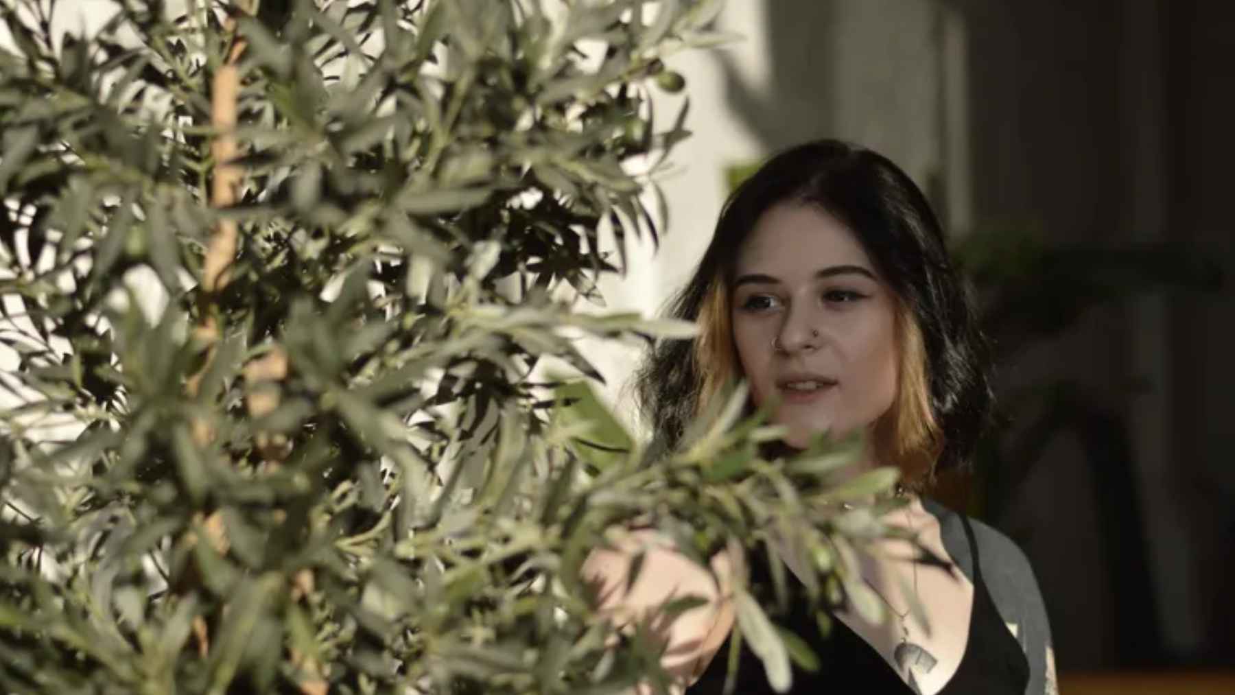 Mujer junto a un olivo en su casa, símbolo de paz y prosperidad en espacios interiores o terrazas.