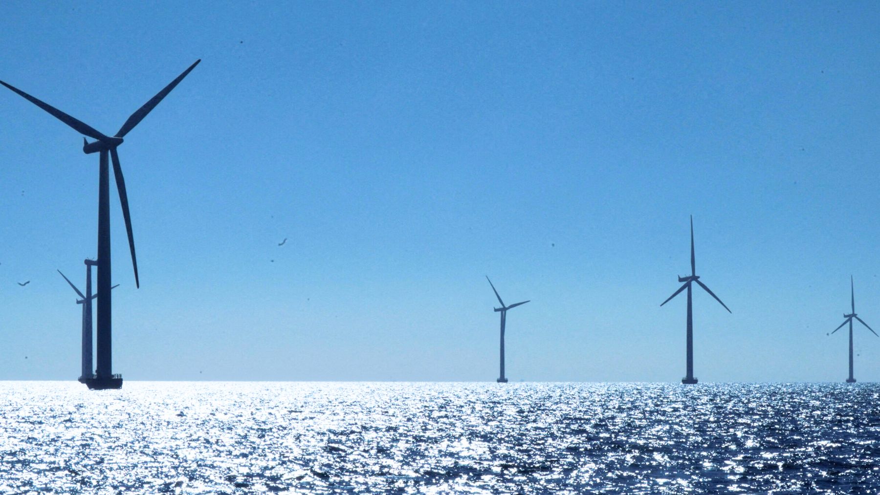 Parque eólico marino de Ørsted en la costa este de Estados Unidos afectado por la paralización ordenada por Trump