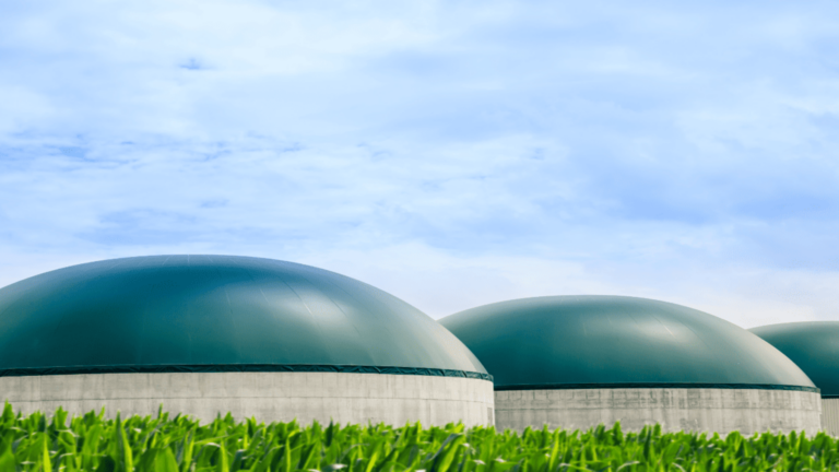 Plantas de biometano en Andalucía para producción de energía renovable