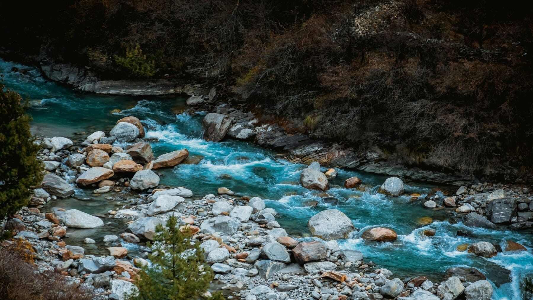 recuperación ecológica de ríos en Portugal en entorno urbano