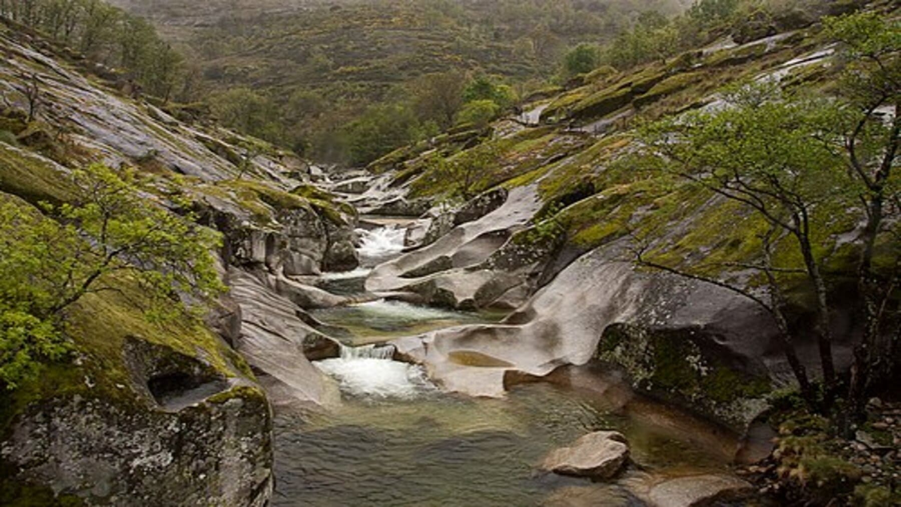 Montería en la Reserva Natural de la Garganta de los Infiernos en el Valle del Jerte