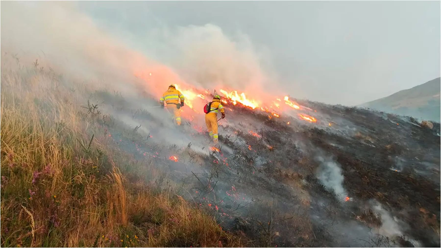 ayudas por incendios forestales en España tras el verano de 2025