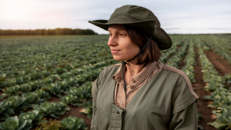 Ayudas de la PAC 2026 en explotación agrícola