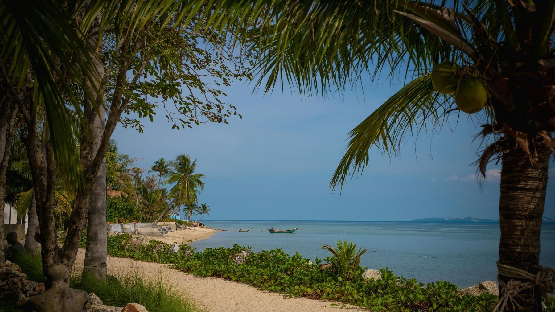 Calentamiento en los trópicos por el cambio climático en paisajes tropicales montañosos