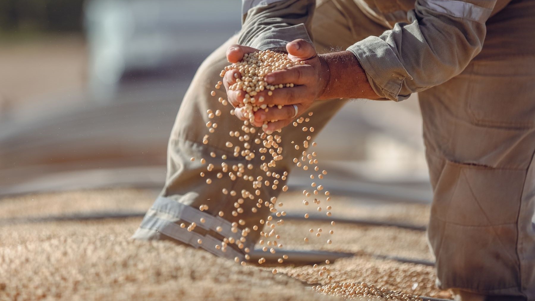 Amazonía amenazada tras la crisis de la Moratoria de la Soja