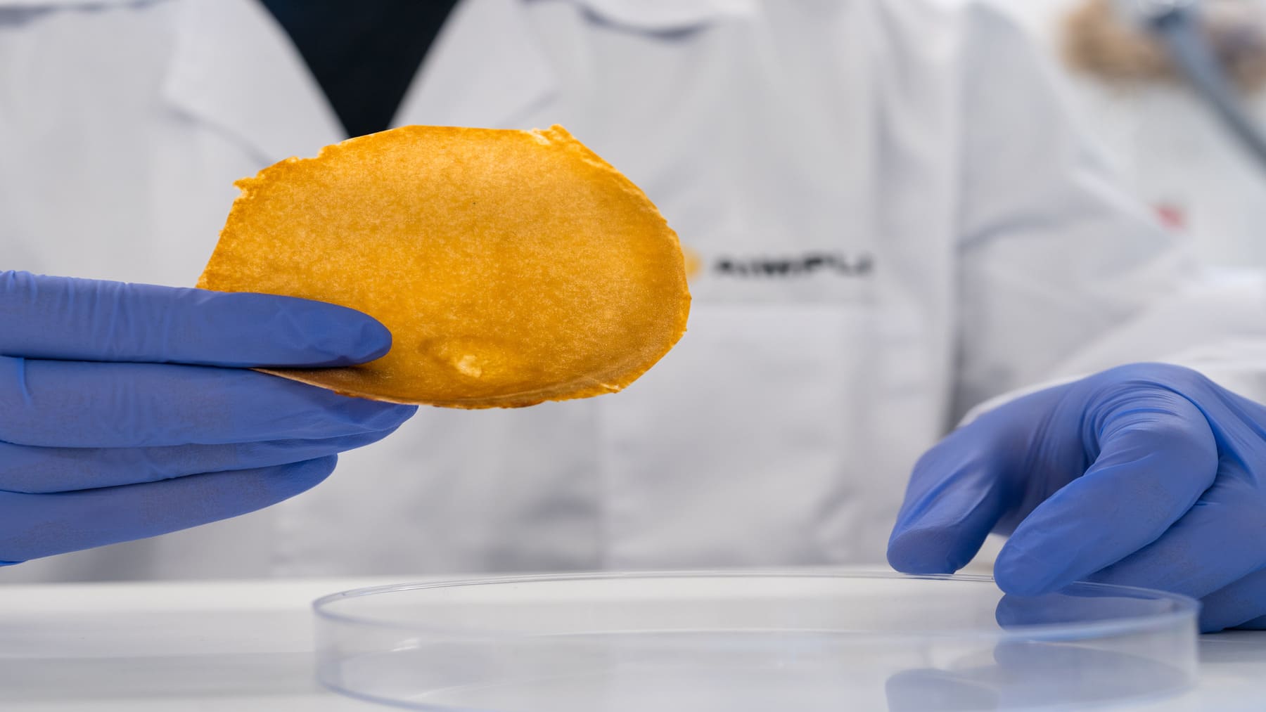 AIMPLAS transforma residuos orgánicos en piel vegana mediante cultivo de micelio fúngico