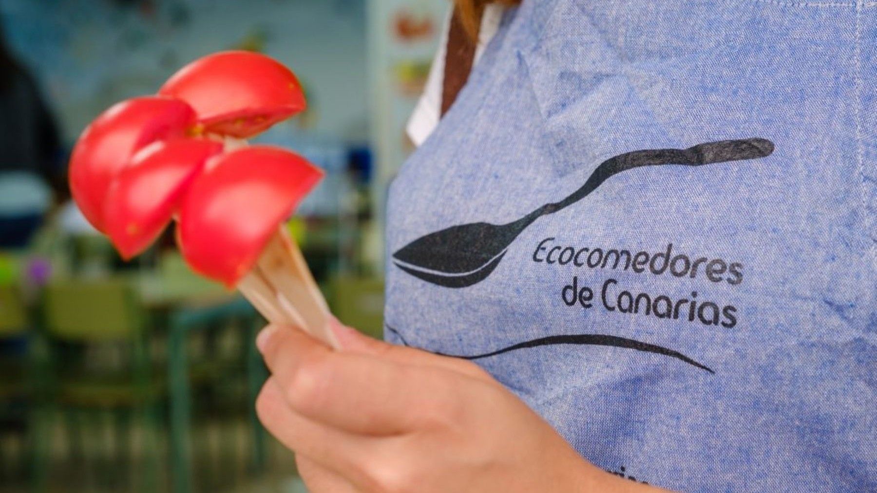 Programa Ecocomedores en Canarias en centros educativos