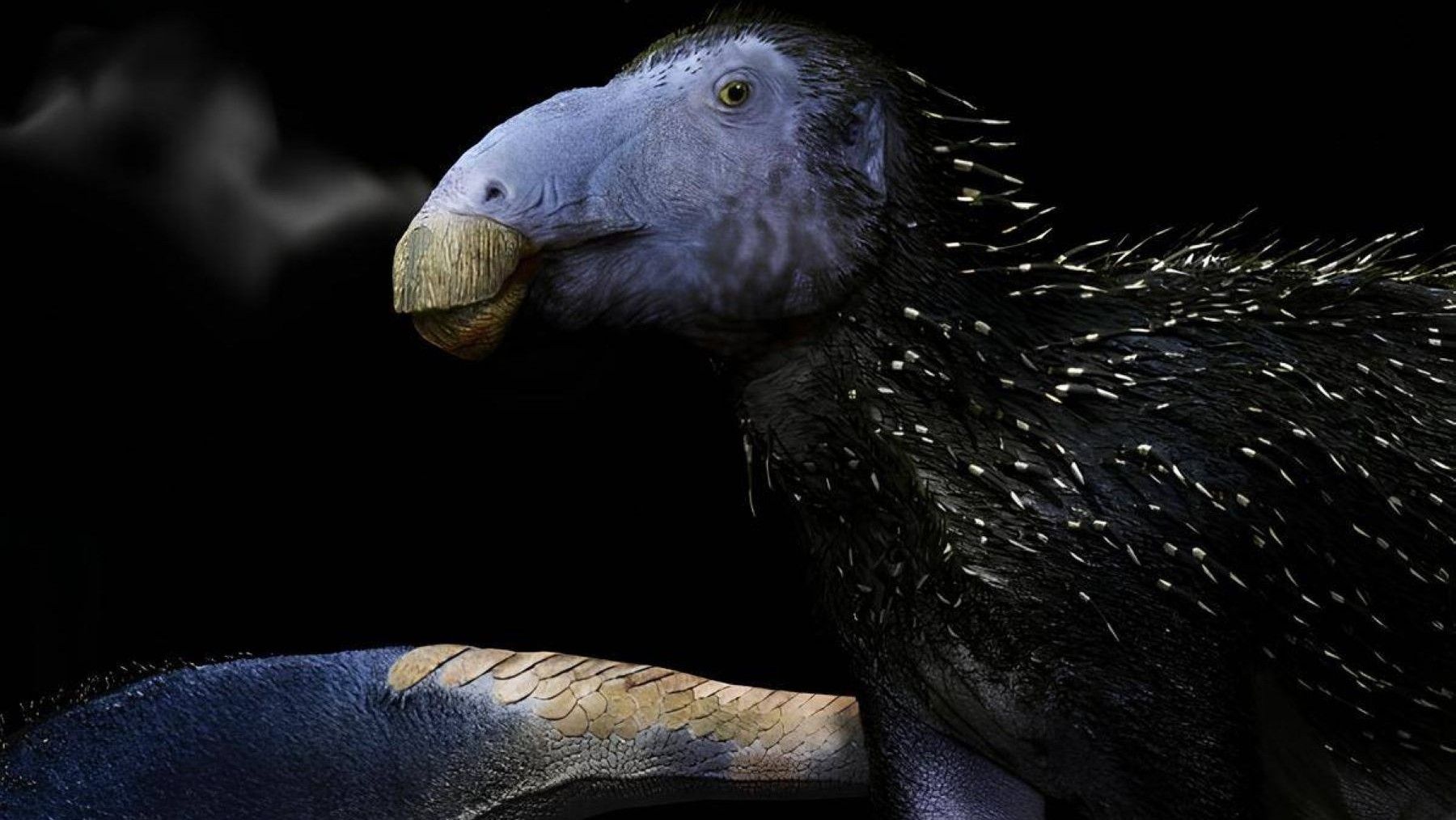 Nuevo dinosaurio espinoso con espinas cutáneas fosilizadas