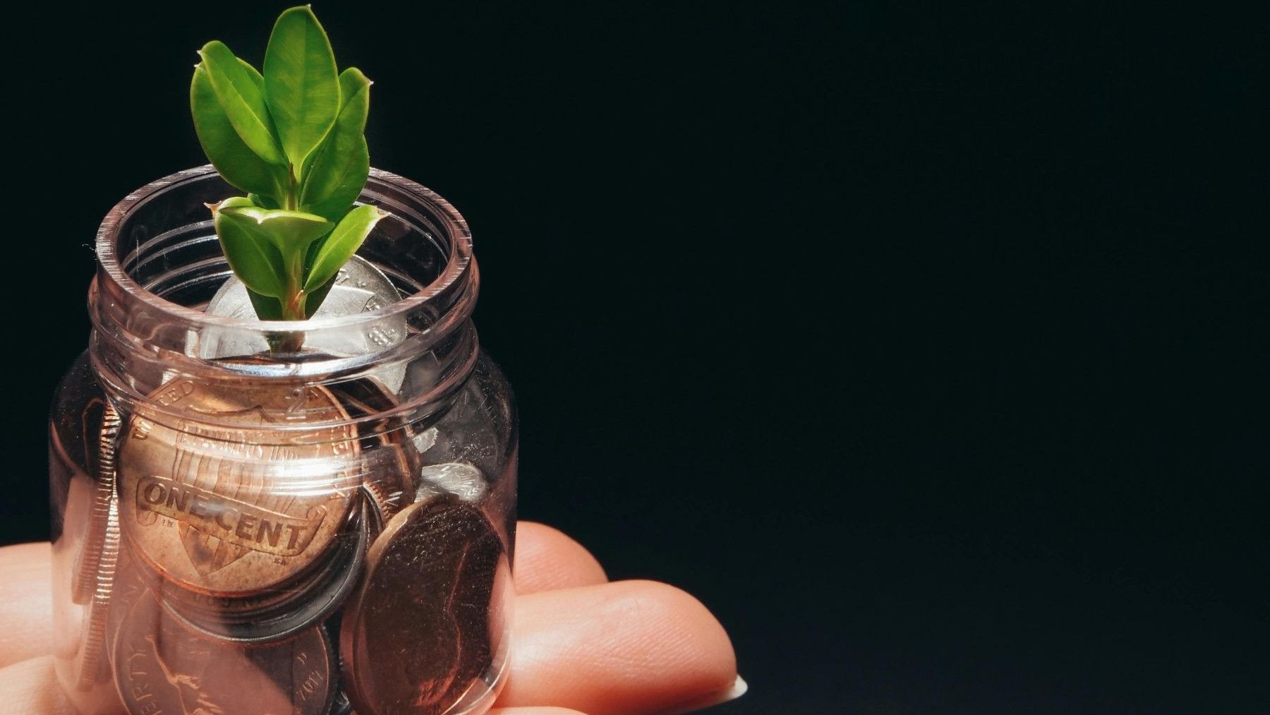 Eco-Track y Eco-Lab impulsan las finanzas verdes en las pymes españolas mediante evaluación de criterios ASG