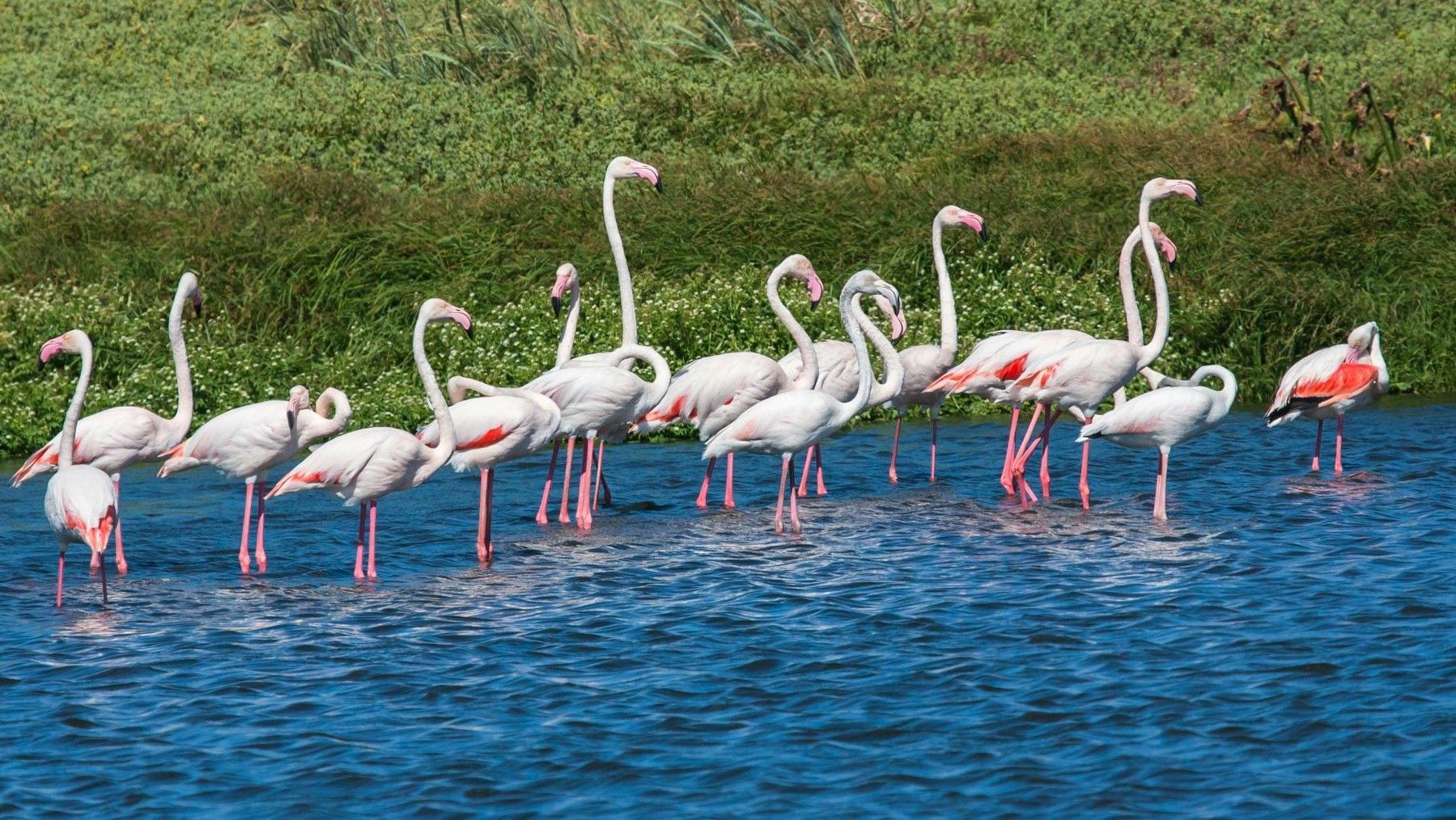 Marruecos refuerza la protección de sus humedales en Essaouira