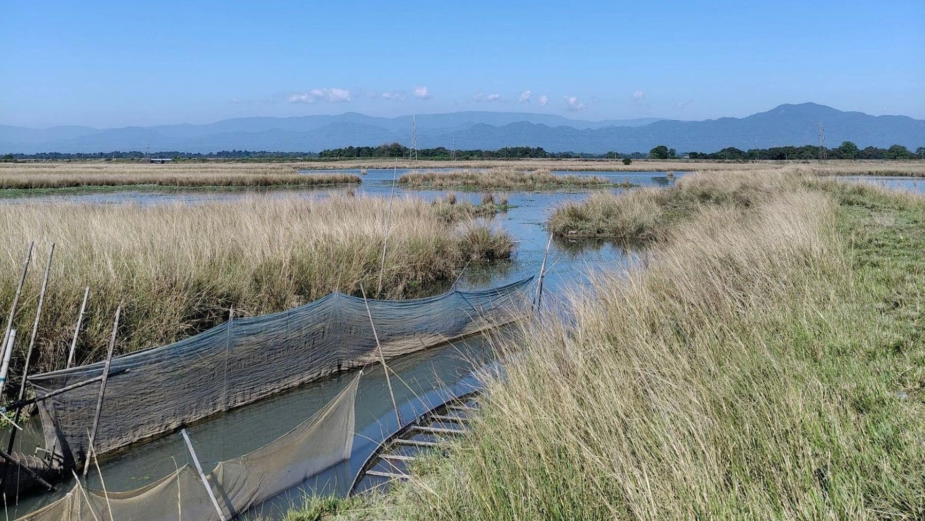 Humedales españoles afectados por agricultura intensiva y escasez de agua