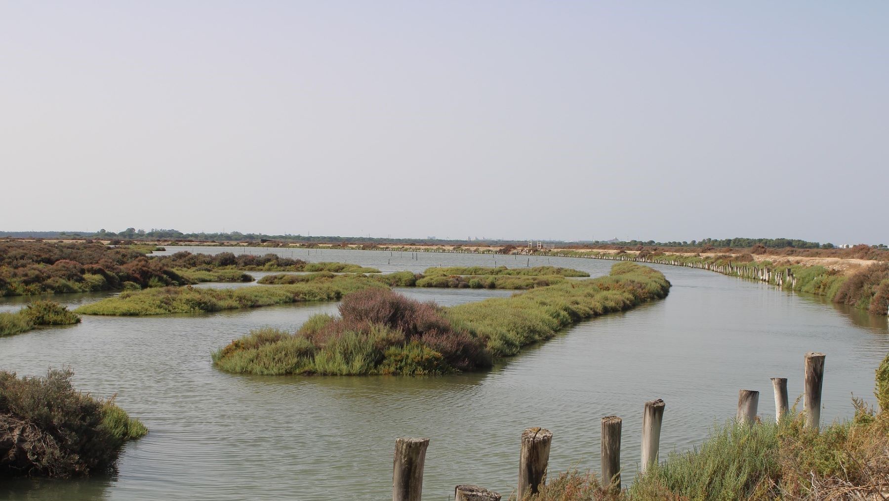 Humedales de Andalucía gestionados para conservación y biodiversidad