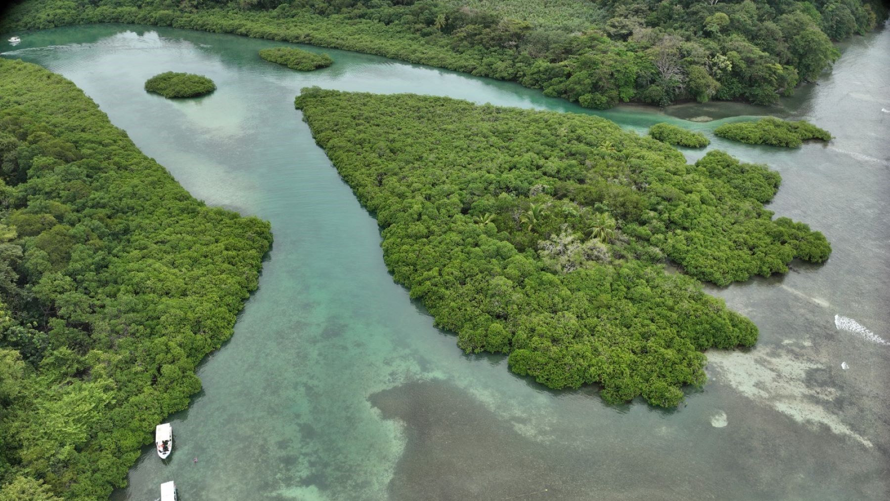 Humedales de Panamá amenazados por cambio climático y presión humana